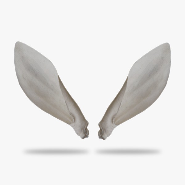 KO-AFSG-D1.gif_product