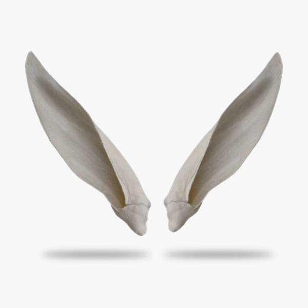 KO-H-AFEL1.gif_product