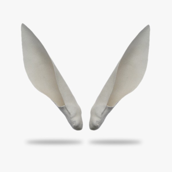 KO-H-AFSP1.gif_product