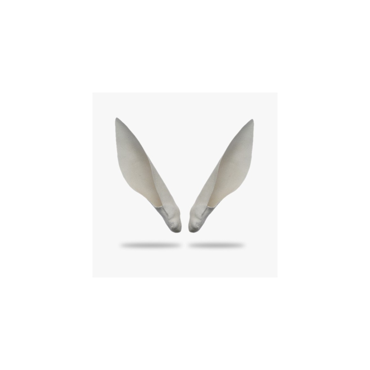 KO-H-AFSP1.gif_product