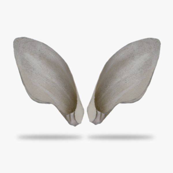 KO-H-AFST1.gif_product