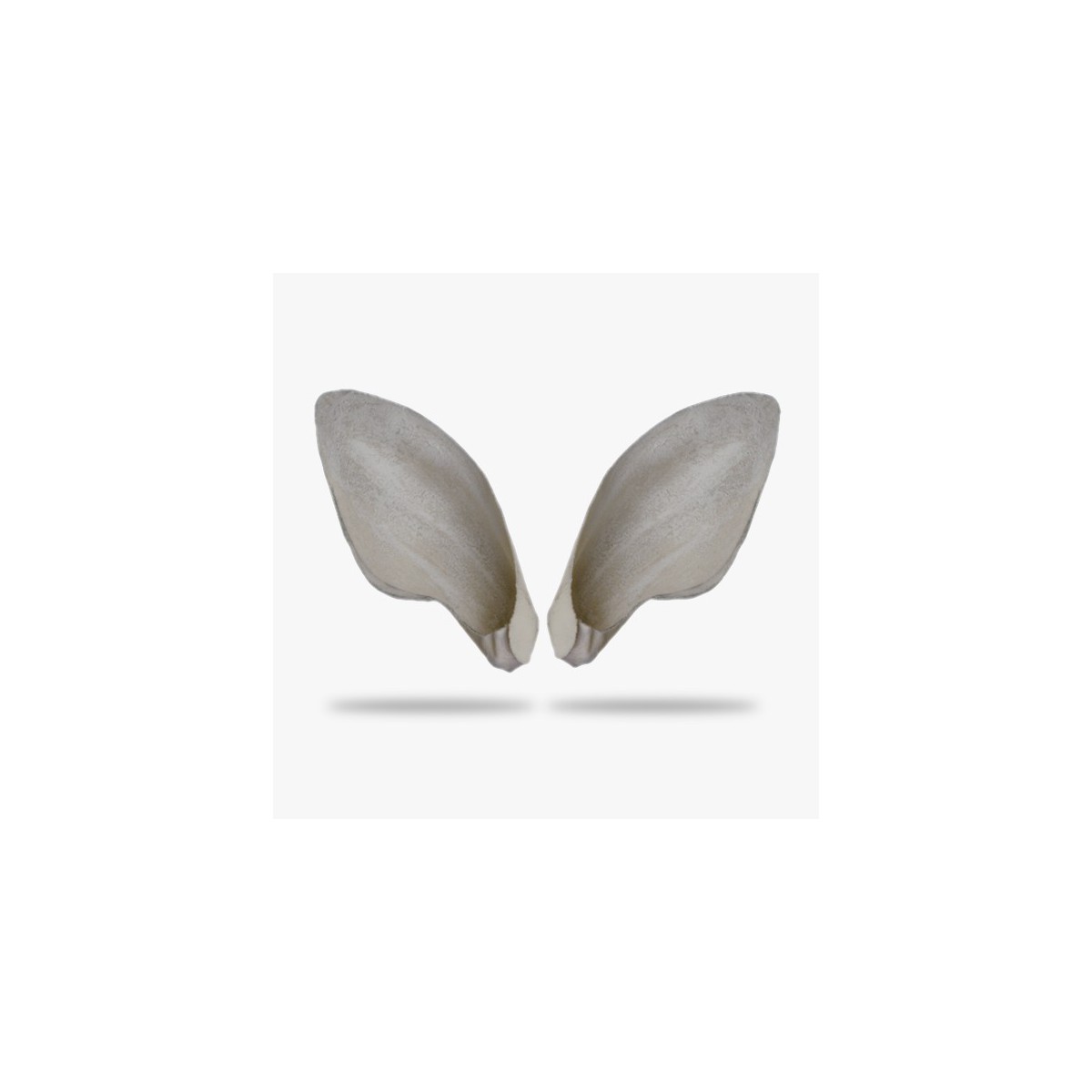 KO-H-AFST1.gif_product