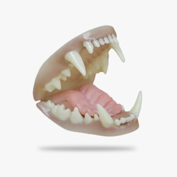 JN016.gif_product_product
