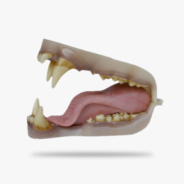 JN006.gif_product