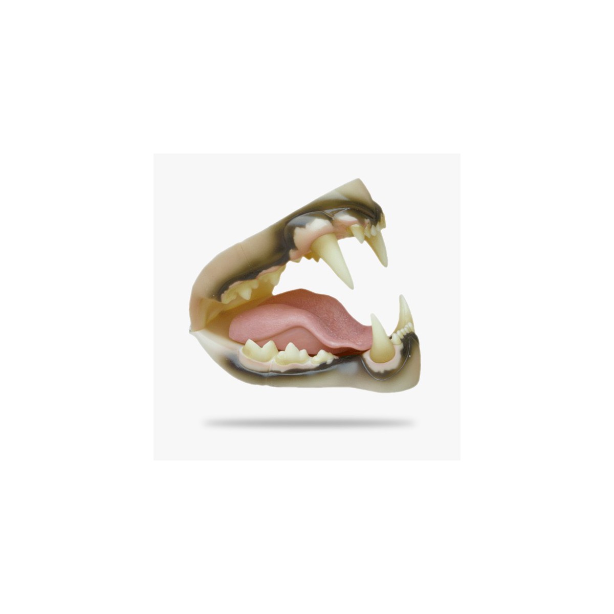 JN048.gif_product_product