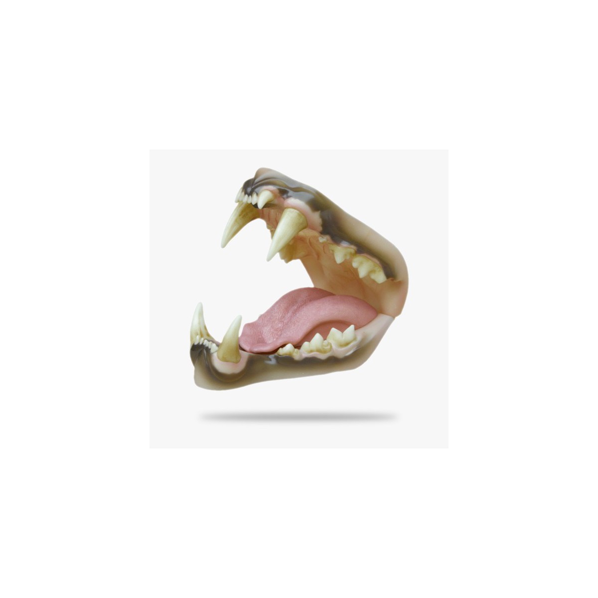 JN036.gif_product_product