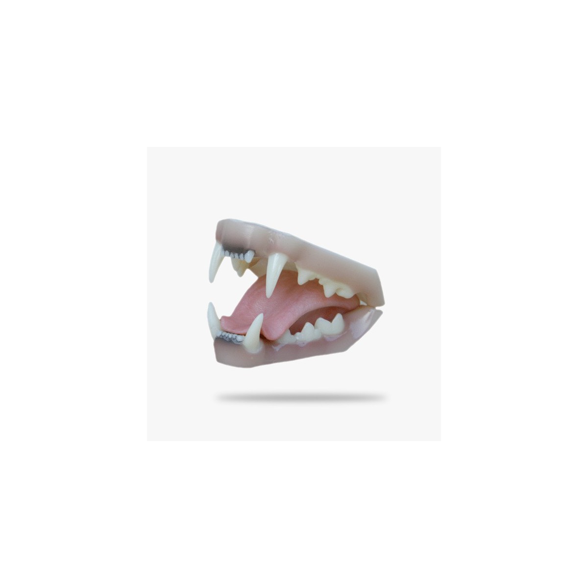 JN007.gif_product_product