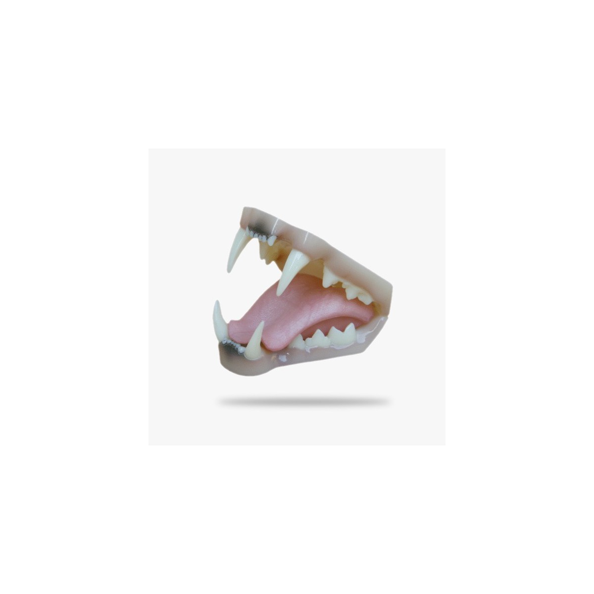 JN008.gif_product_product