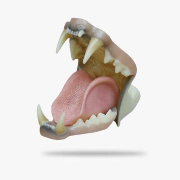 JNT085H.gif_product_product