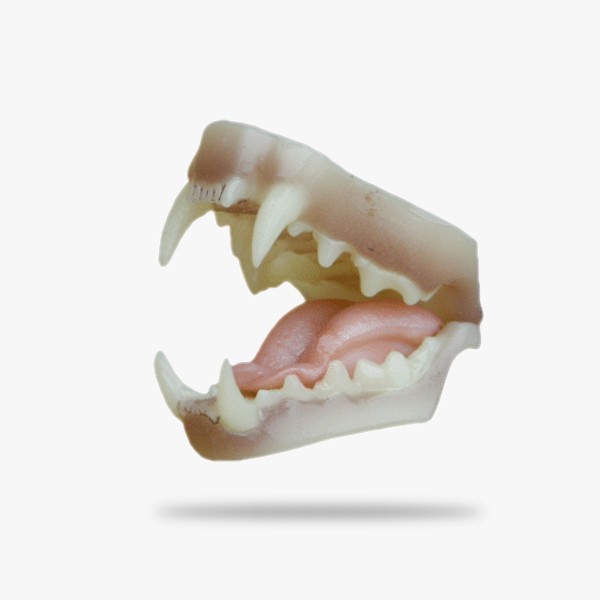 JN047.gif_product_product