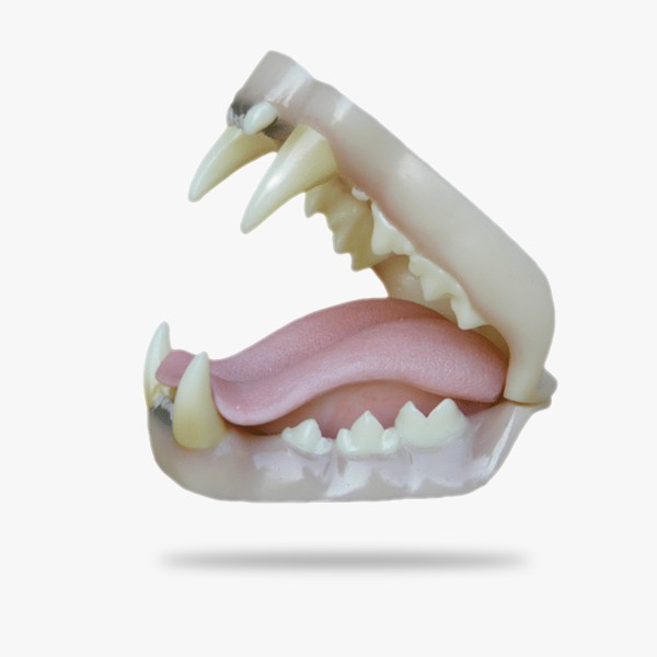 JN010.gif_product_product