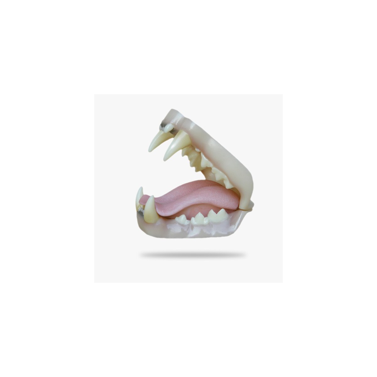 JN010.gif_product_product