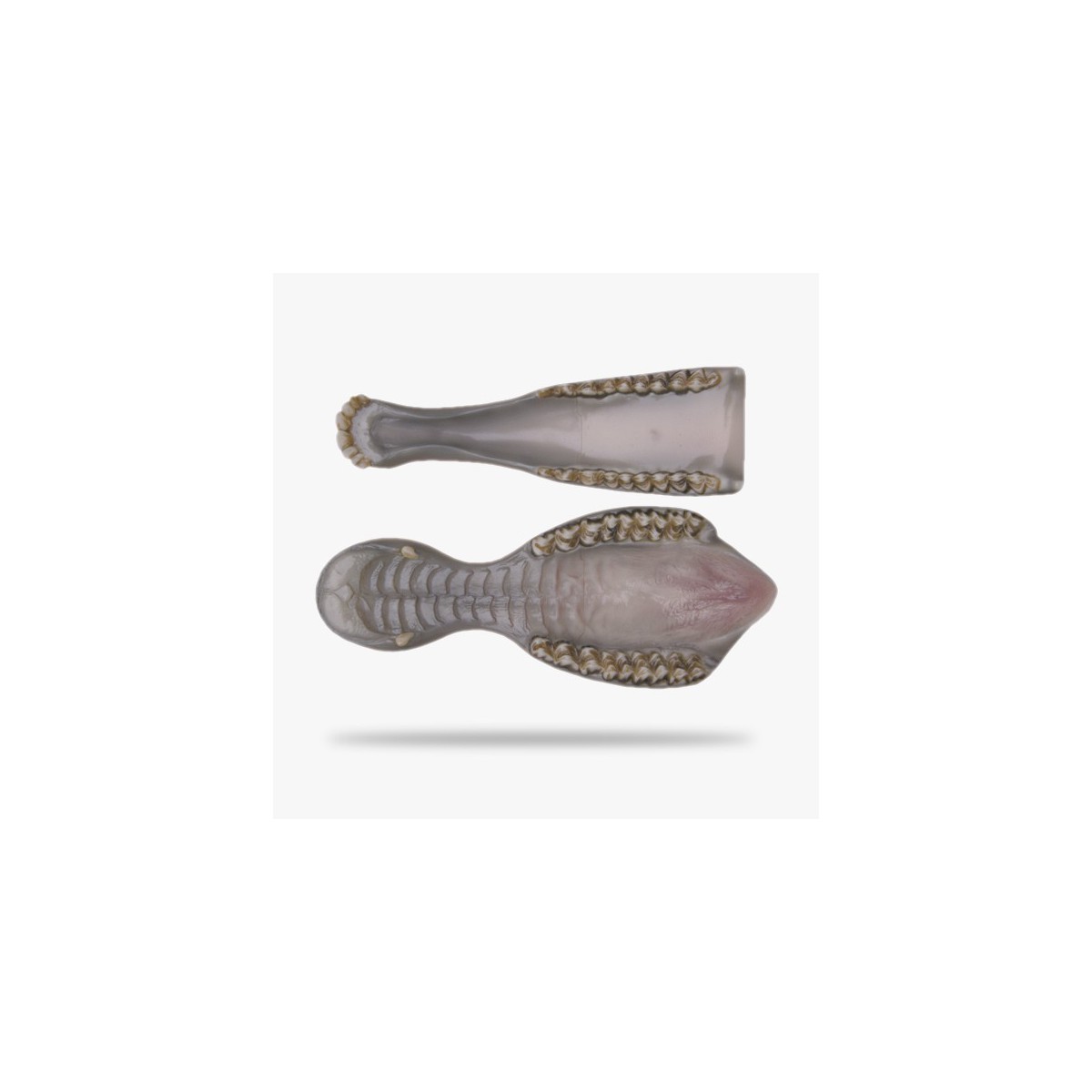JN049.gif_product_product