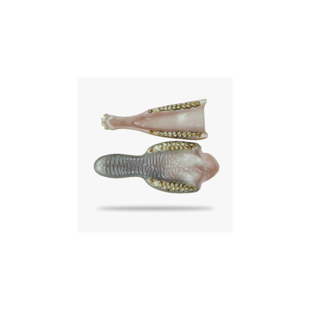 JNT087.gif_product_product