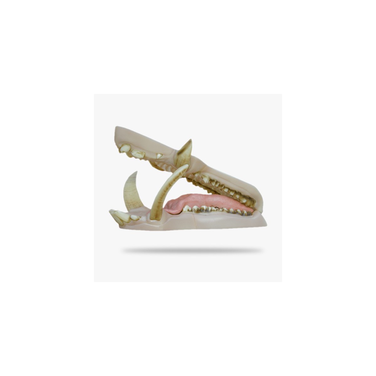 JNKL045.gif_product_product