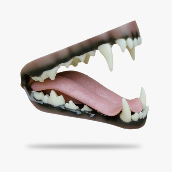 JN015.gif_product