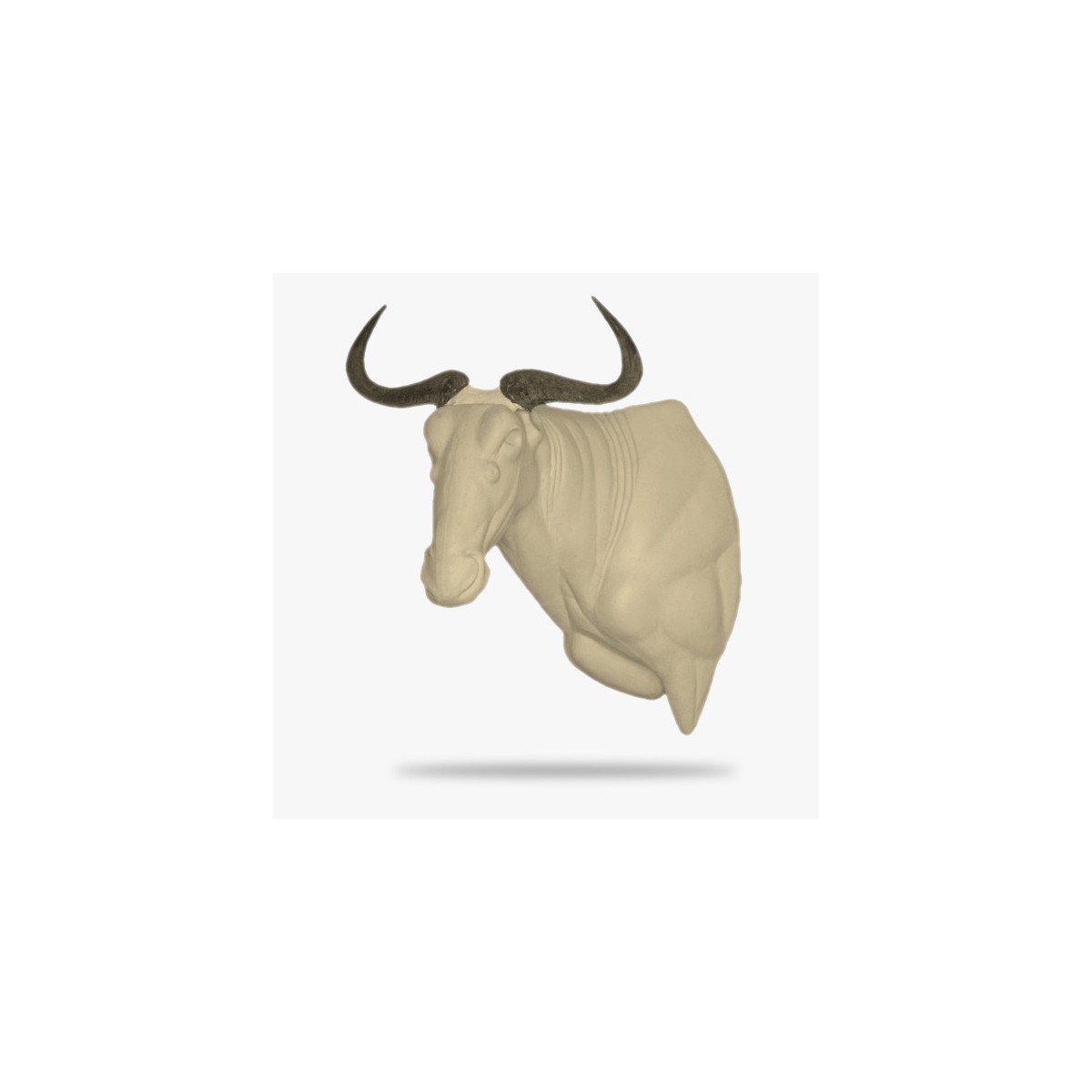 AF-O-SG3-L.gif_product