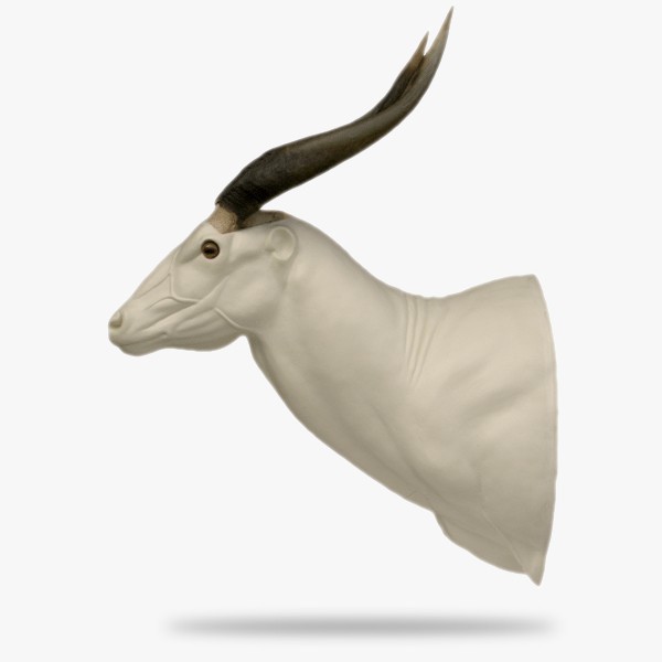 AF-BO3-G.gif_product