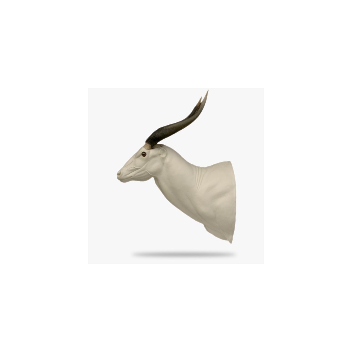 AF-BO3-G.gif_product
