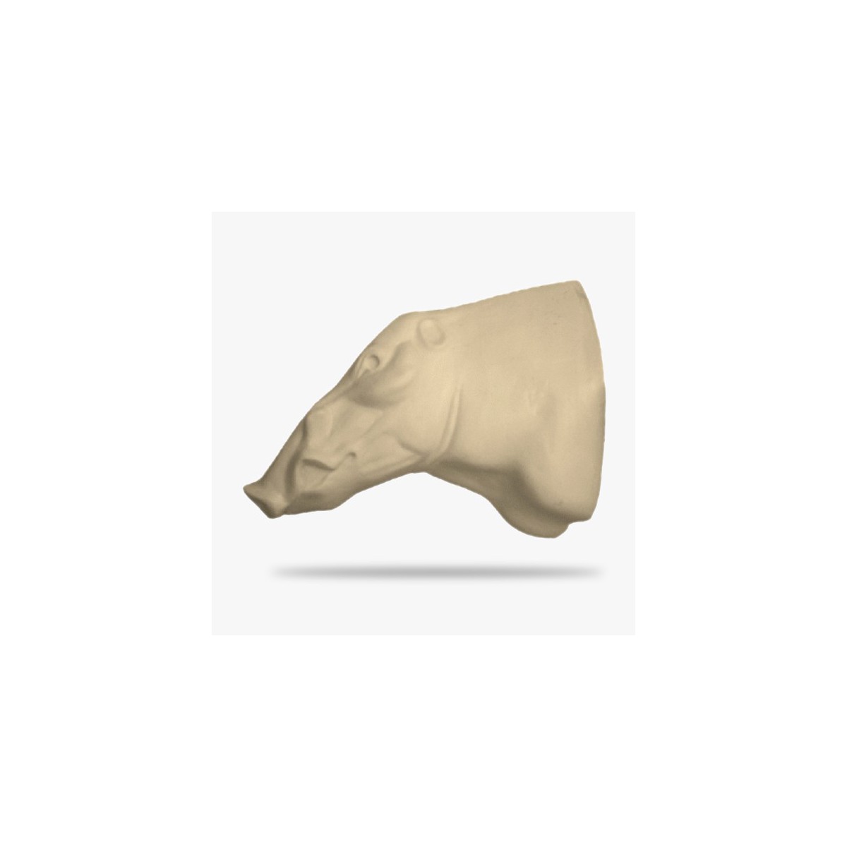 AF-BS1-G-G.gif_product
