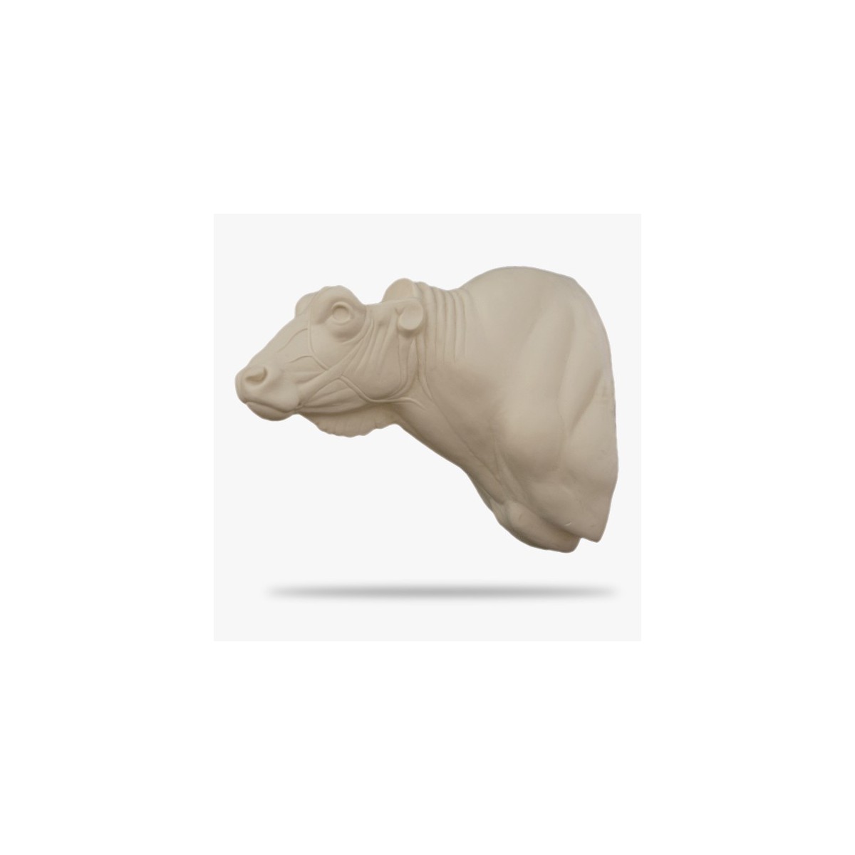 AF-KB5-G.gif_product