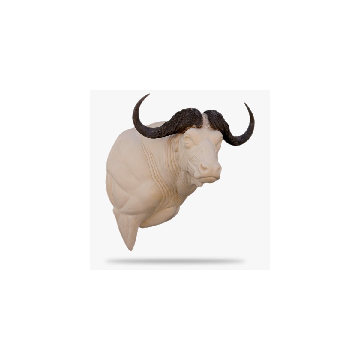 AF-O-KB6-R.gif_product