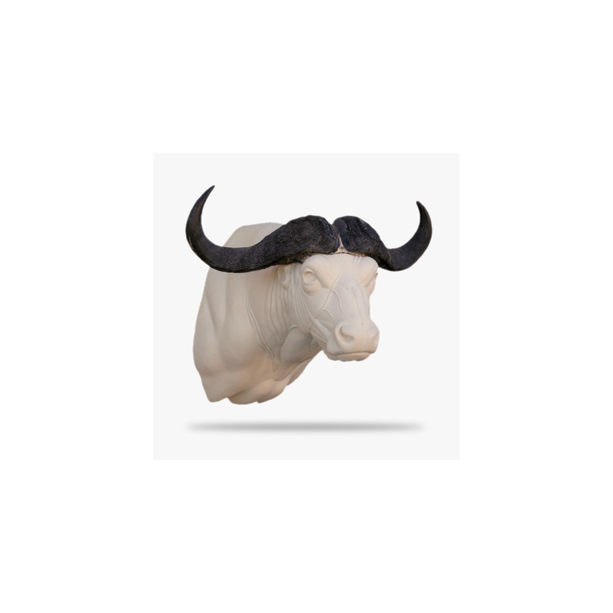 AF-KB5-R.gif_product