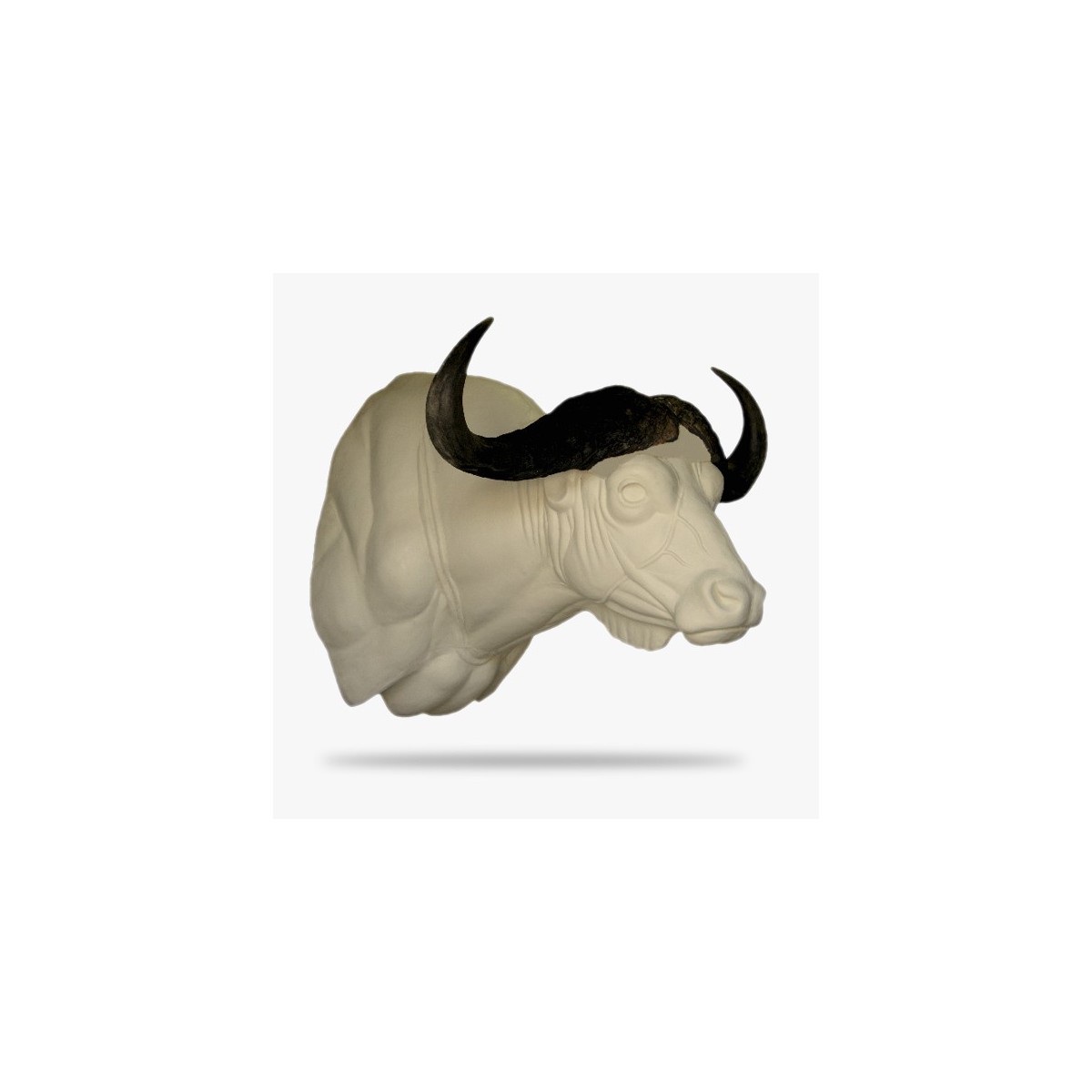 AF-KB4-G.gif_product