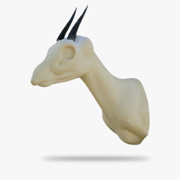 AF-DD1-G.gif_product