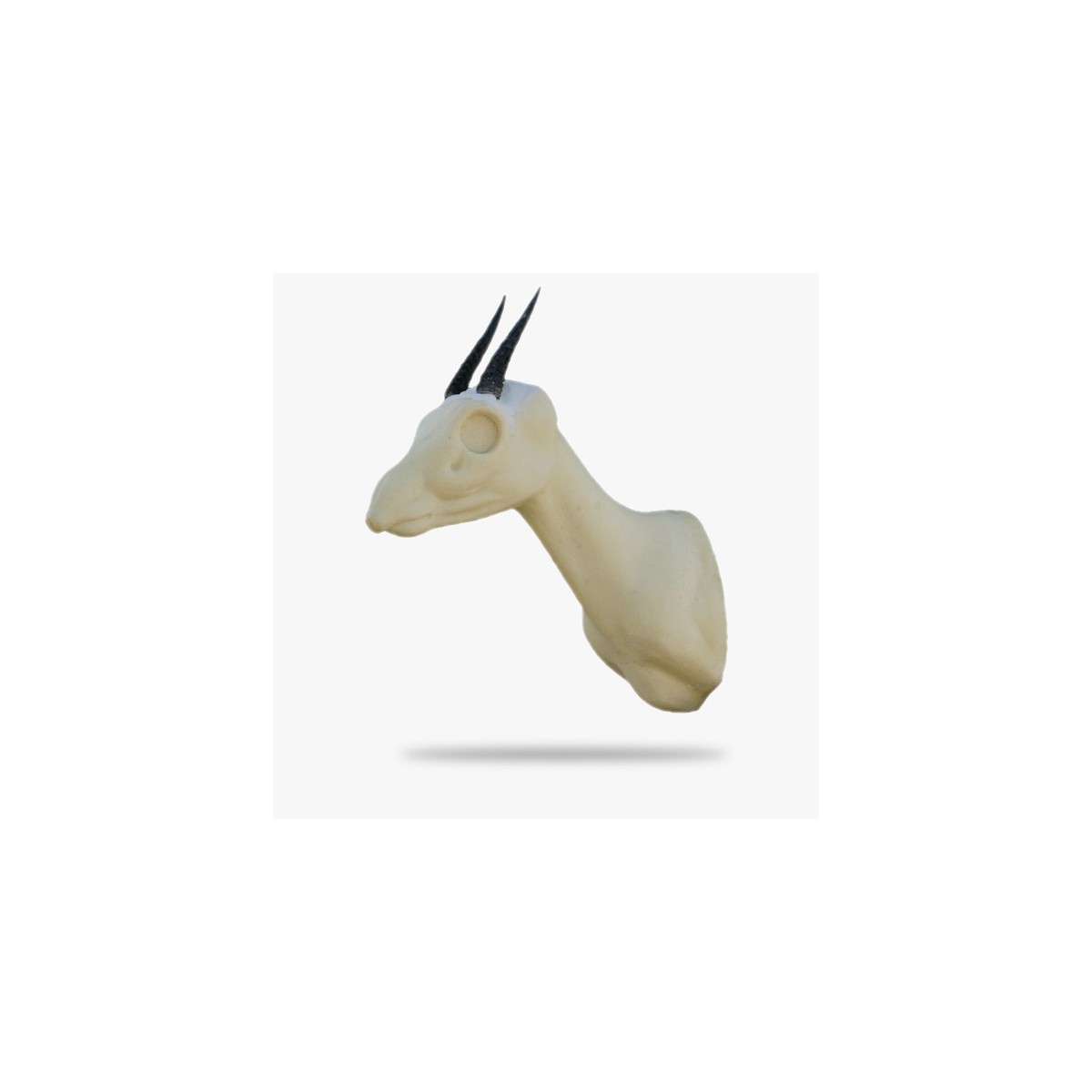 AF-DD1-G.gif_product