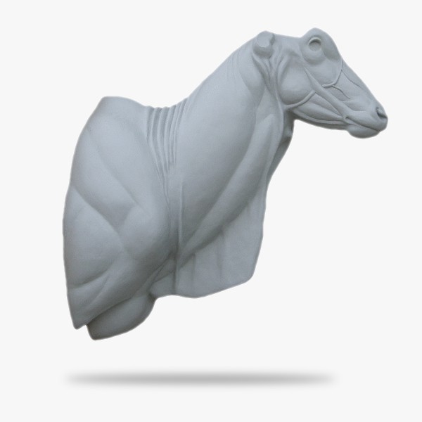 AF-EL2-G.gif_product