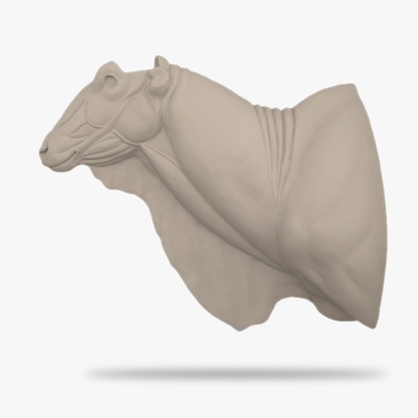 AF-LDE2-G.gif_product