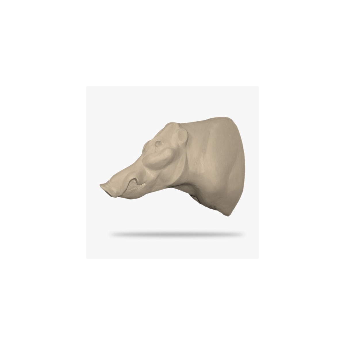 SO-AF-RWS1-G.gif_product