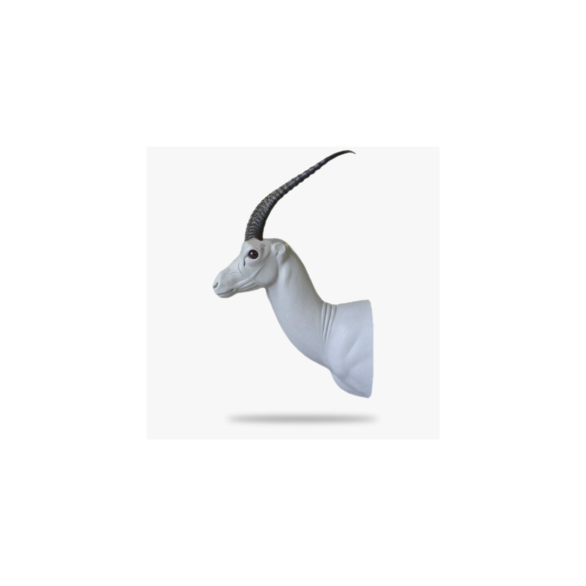 AF-GRT3-L.gif_product