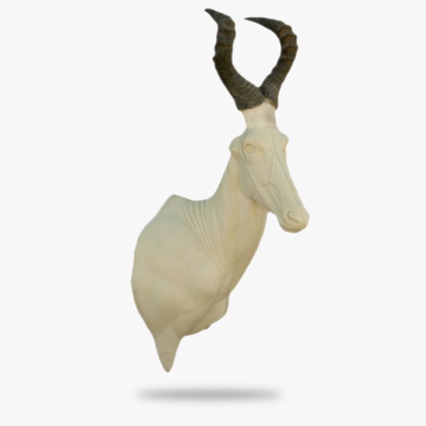 AF-0-H3-R.gif_product