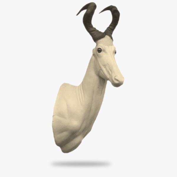 AF-H2-R.gif_product