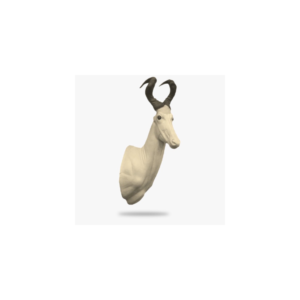 AF-H2-R.gif_product