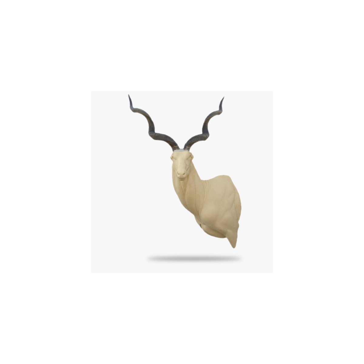 AF-O-KU5-L.gif_product