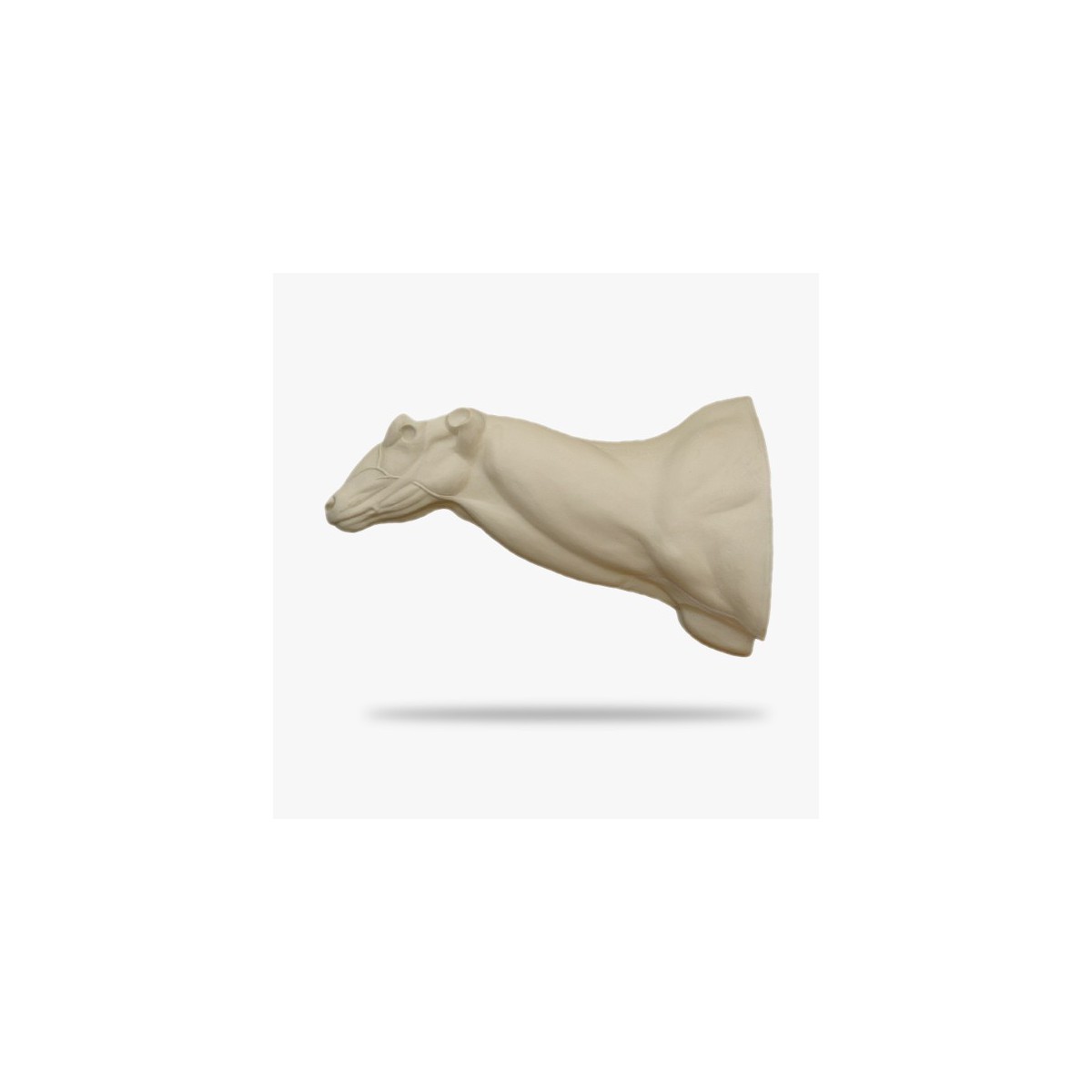 AF-KU5-GES-G.gif_product