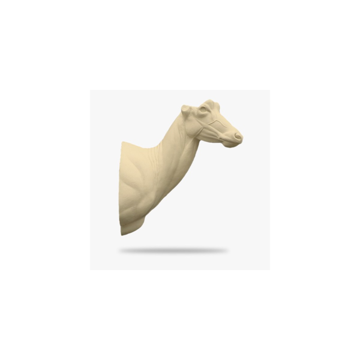 AF-RO3-R.gif_product