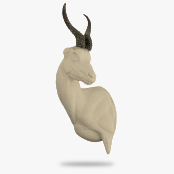 AF-SA3-L5.gif_product