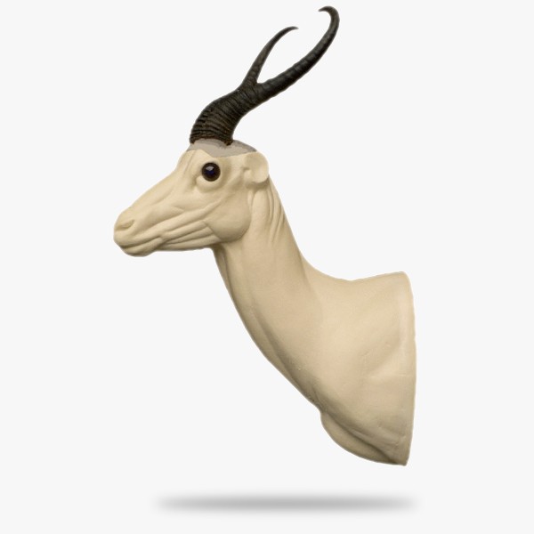 AF-SP5-L.gif_product
