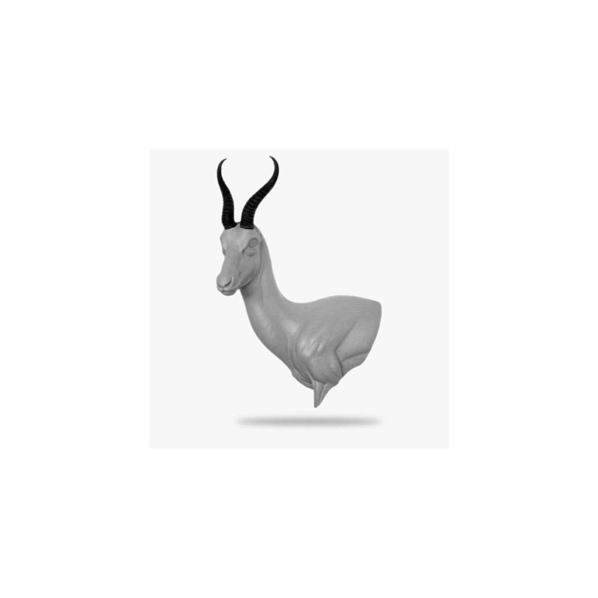 TdV-AF-WP-SP2-L.gif_product