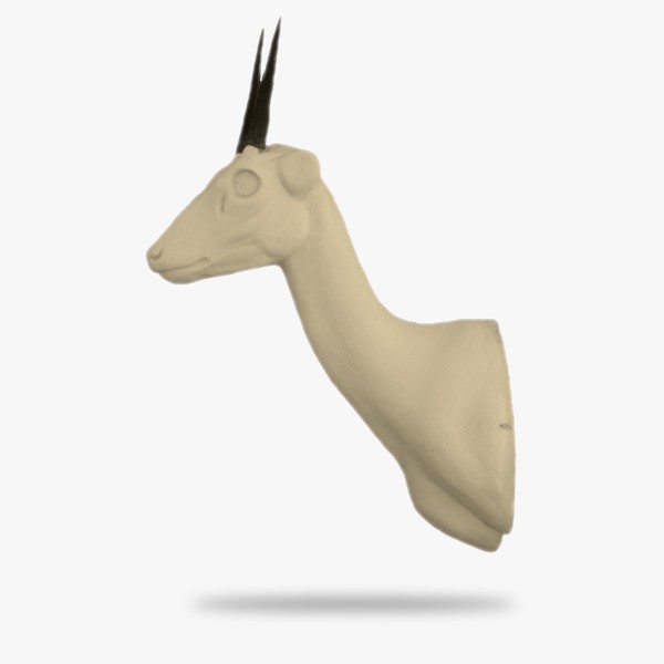AF-ST2-G.gif_product