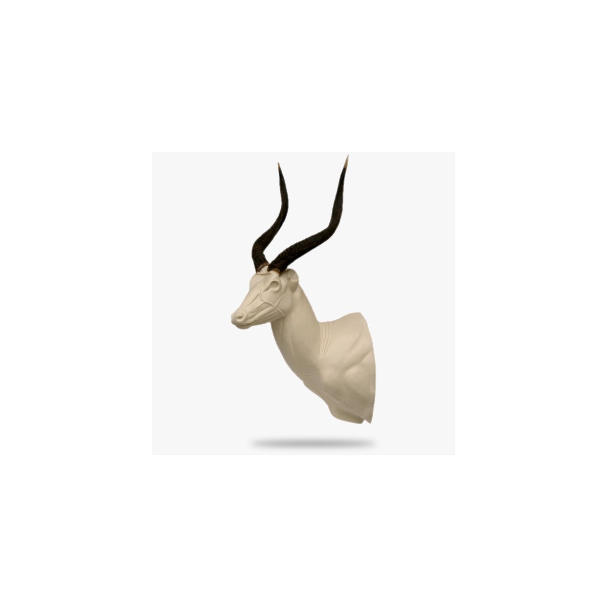 AF-NY1-L.gif_product