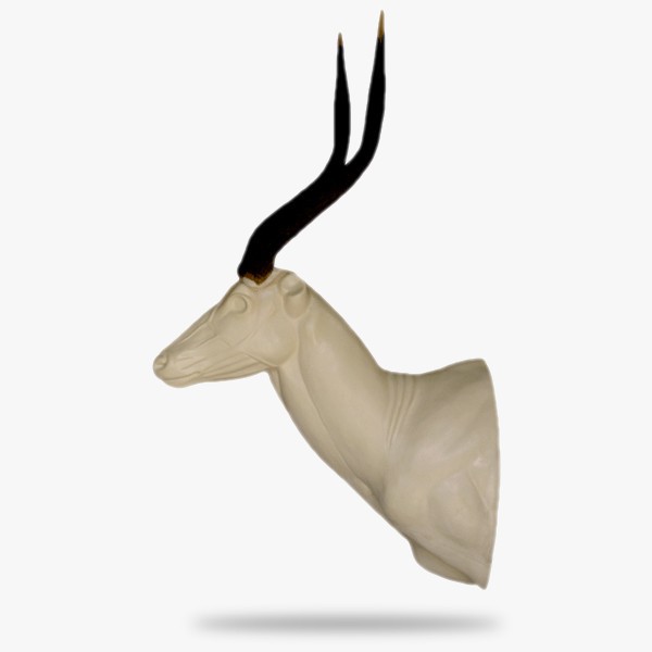 AF-NY1-G.gif_product