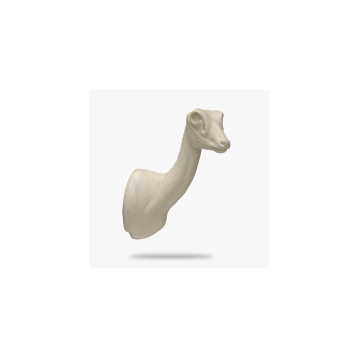 AF-OB1-R.gif_product_product
