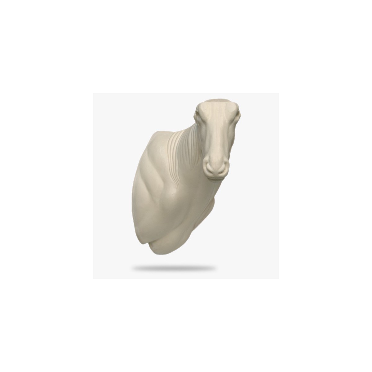 AF-O4-R.gif_product