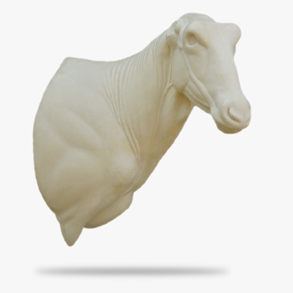 AF-O-O5-R.gif_product