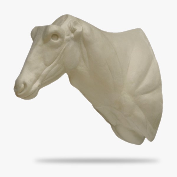 AF-O5-G.gif_product